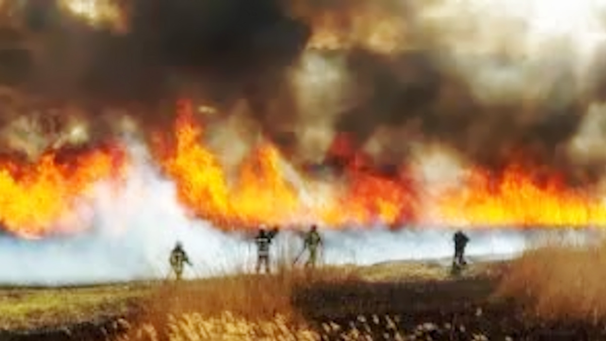 Il fumo degli incendi: un assassino silenzioso che minaccia la salute globale