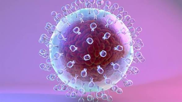 Epatite A, tra notizie e realtà: cosa sta succedendo davvero e perché non serve farsi prendere dal panico