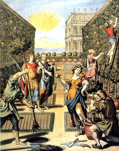 Esperidi (custodi del giardino dei pomi d’oro) – Tanogabo.it